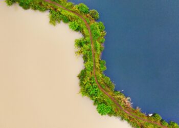 Exploring the Contrasts: India vs. Indonesia