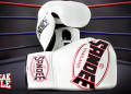 The Boxing Gloves and Its Role in Combat Sports Equipment