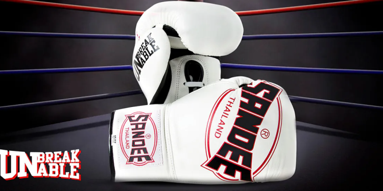The Boxing Gloves and Its Role in Combat Sports Equipment