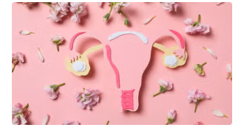 Precision Biotics and Its Role in Modern Gut Health Solutions