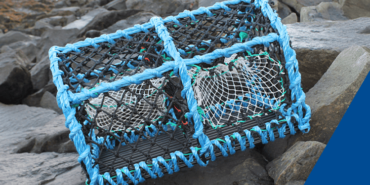 Gael Force Marine: Marine Equipment, Boating Essentials, and What Sets It Apart