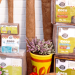 Coco & Coir: Sustainable Growing Media, Gardening Solutions, and What Sets It Apart