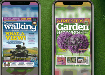 GreatMagazines: Magazine Subscriptions, Reading Variety, and What Sets It Apart