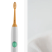 Truthbrush: Sustainable Oral Care, Bamboo Toothbrush Design, and What Sets It Apart