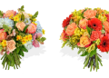 Flowers & Plants Co.: Fresh Floral and Plant Delivery for Modern Living Spaces