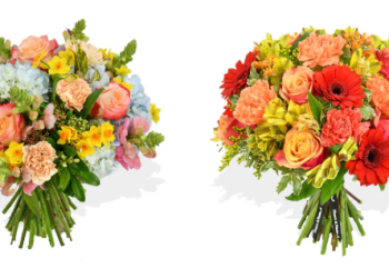 Flowers & Plants Co.: Fresh Floral and Plant Delivery for Modern Living Spaces