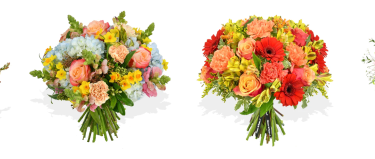 Flowers & Plants Co.: Fresh Floral and Plant Delivery for Modern Living Spaces
